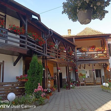 Pensiunea Liana Nemsa Dış mekan fotoğraf