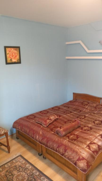 Pensiunea Liana Nemsa Dış mekan fotoğraf