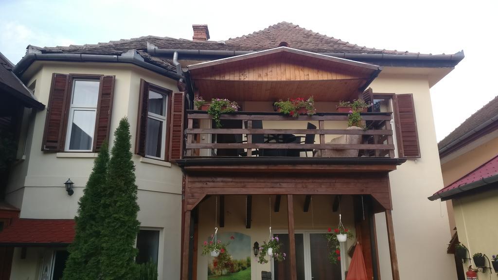 Pensiunea Liana Nemsa Dış mekan fotoğraf