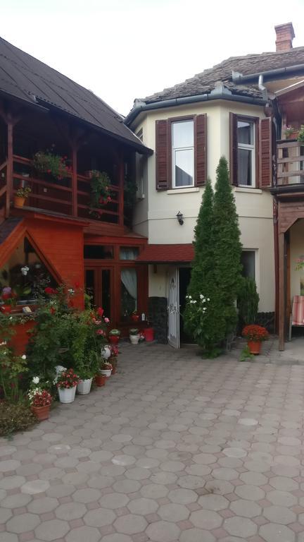 Pensiunea Liana Nemsa Dış mekan fotoğraf