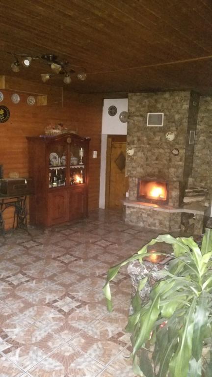 Pensiunea Liana Nemsa Dış mekan fotoğraf
