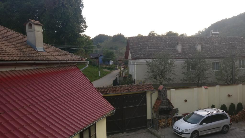 Pensiunea Liana Nemsa Dış mekan fotoğraf