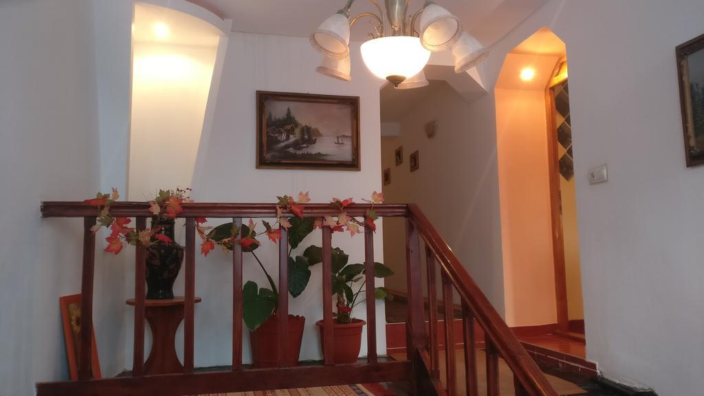 Pensiunea Liana Nemsa Dış mekan fotoğraf