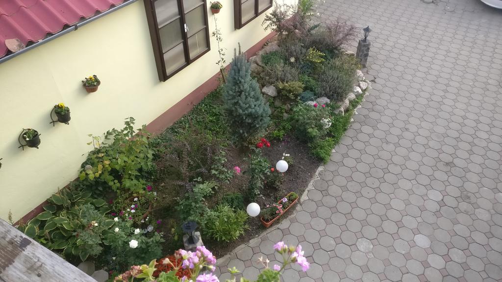 Pensiunea Liana Nemsa Dış mekan fotoğraf