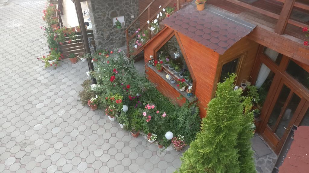 Pensiunea Liana Nemsa Dış mekan fotoğraf
