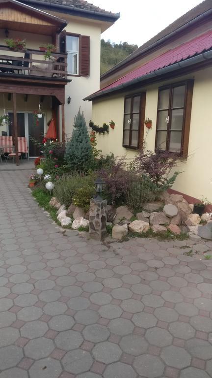 Pensiunea Liana Nemsa Dış mekan fotoğraf