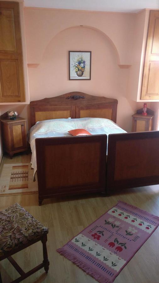 Pensiunea Liana Nemsa Dış mekan fotoğraf