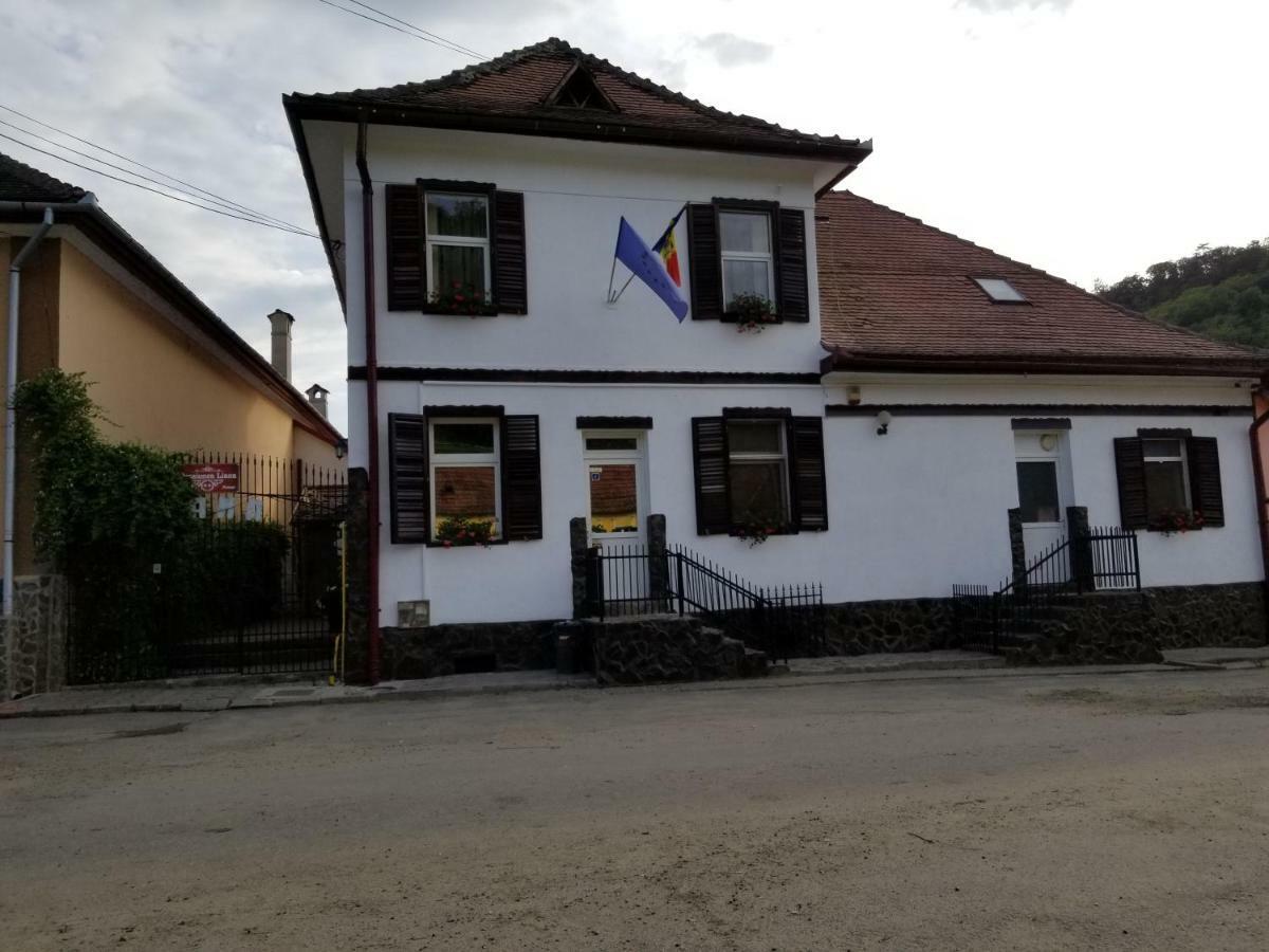 Pensiunea Liana Nemsa Dış mekan fotoğraf