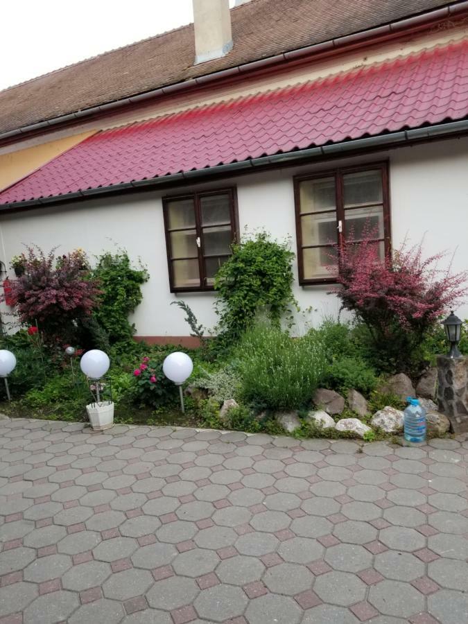 Pensiunea Liana Nemsa Dış mekan fotoğraf