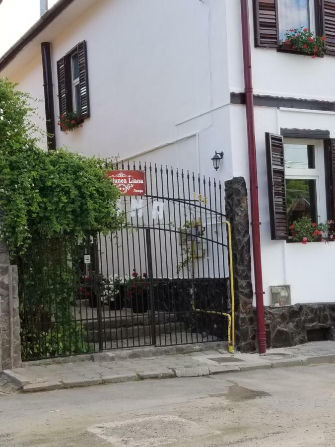 Pensiunea Liana Nemsa Dış mekan fotoğraf
