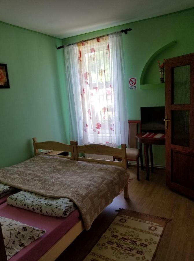 Pensiunea Liana Nemsa Dış mekan fotoğraf
