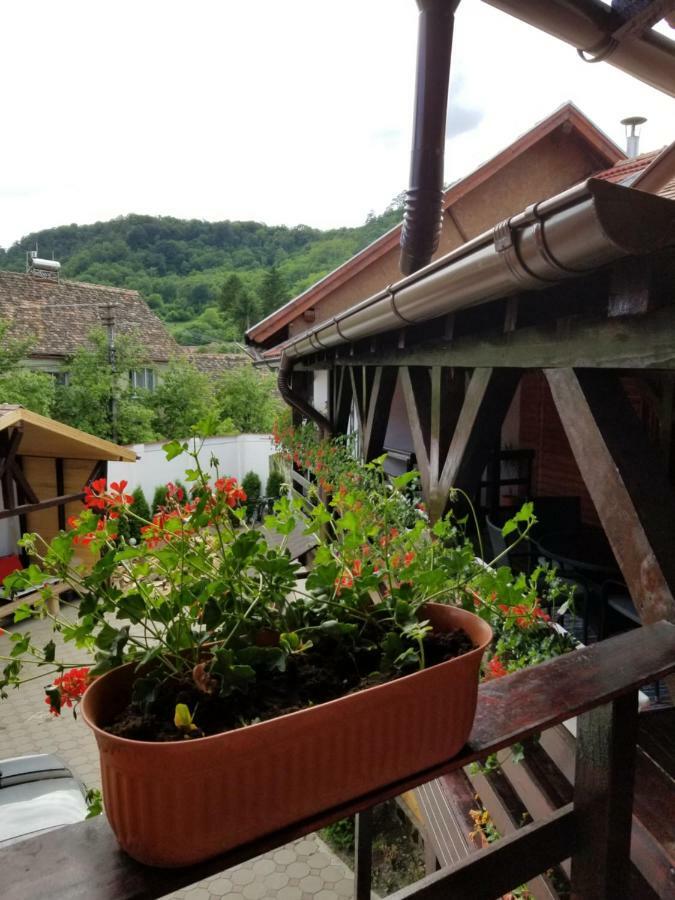 Pensiunea Liana Nemsa Dış mekan fotoğraf